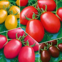 Итальянские томаты, аромат-ароматизатор